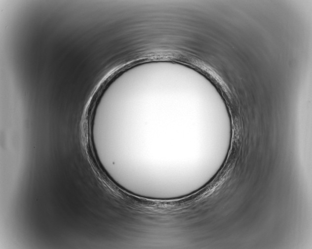 X0000098221075200804241128