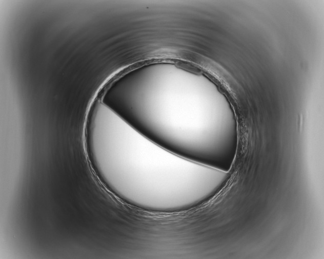 X0000098221076200804241128