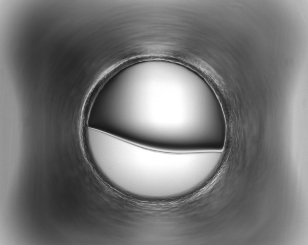 X0000098221077200804241128