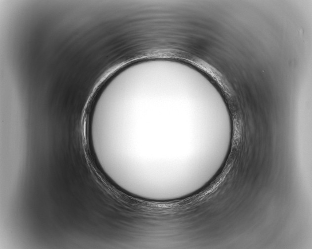 X0000098221078200804241128