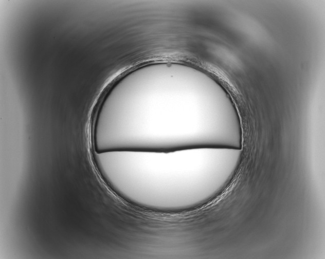 X0000098221079200804241128