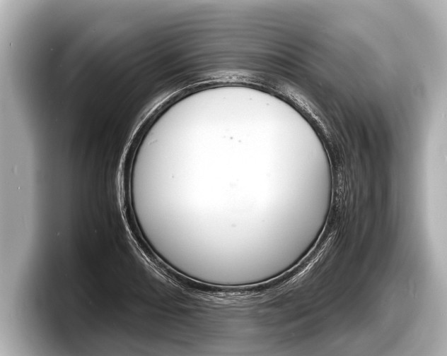 X0000098221082200804241128