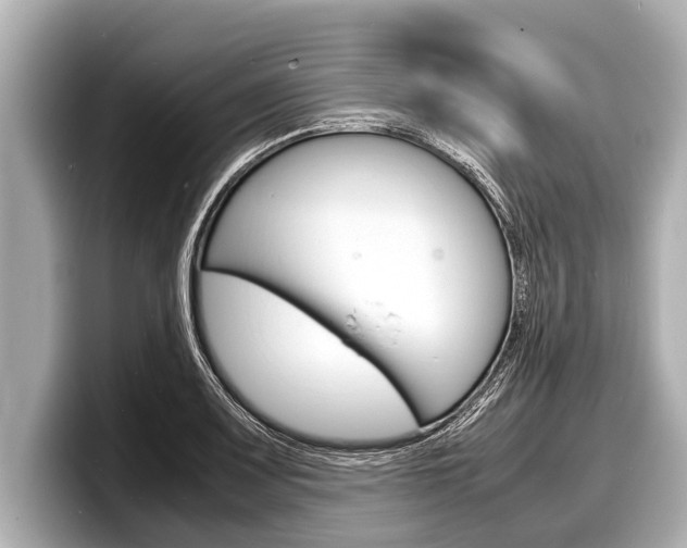 X0000098221083200804241128