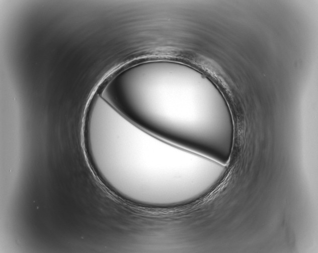 X0000098221085200804241128