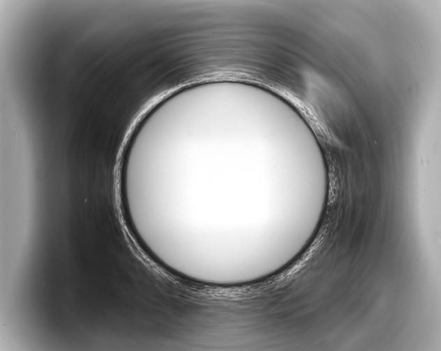 X0000098221086200804241128