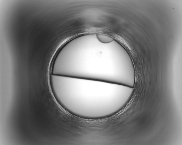 X0000098221087200804241128
