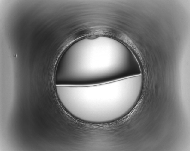 X0000098221089200804241128