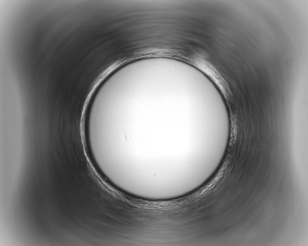 X0000098221090200804241128