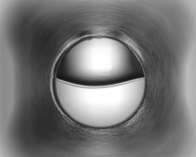 X0000098221093200804241128