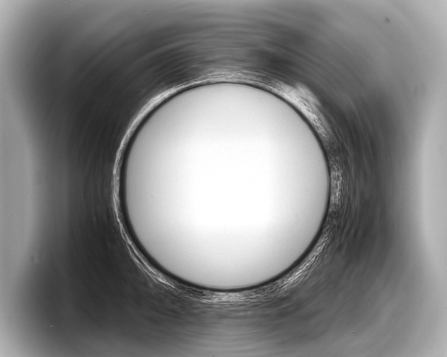 X0000098221094200804241128