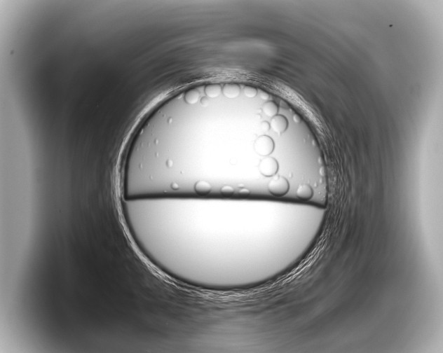 X0000098221095200804241128