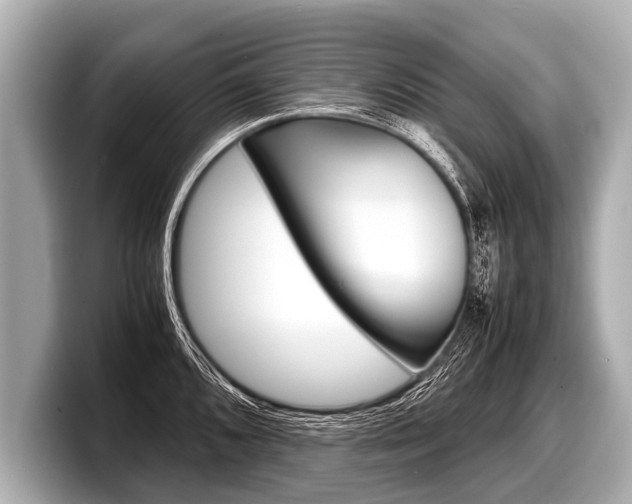 X0000098221096200804241128