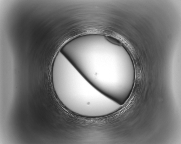 X0000098221097200804241128
