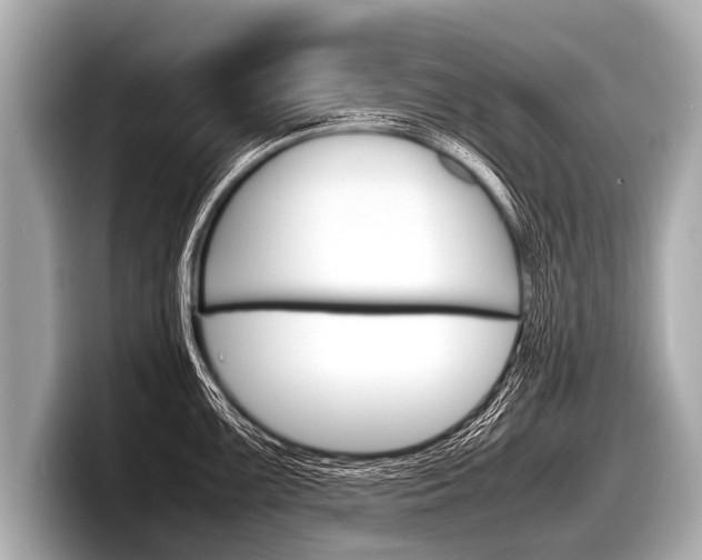 X0000098221099200804241128