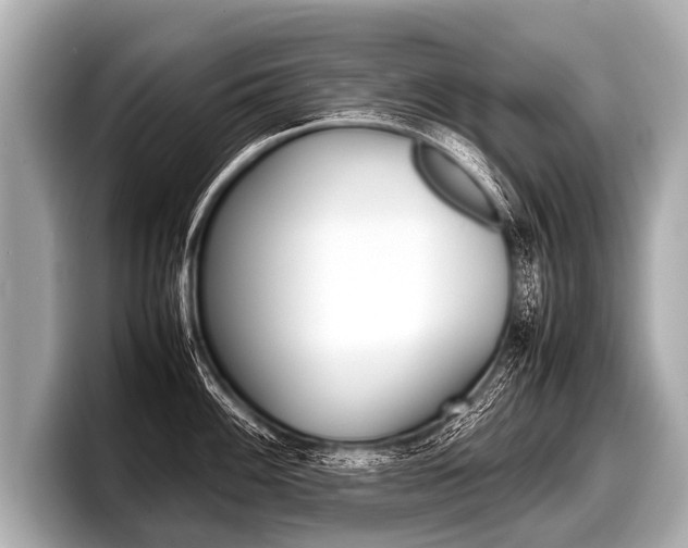 X0000098221100200804241128
