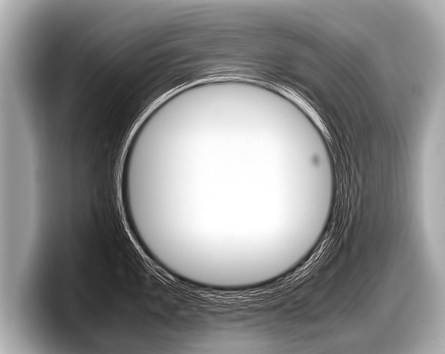 X0000098221101200804241128