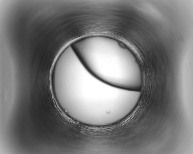 X0000098221102200804241128