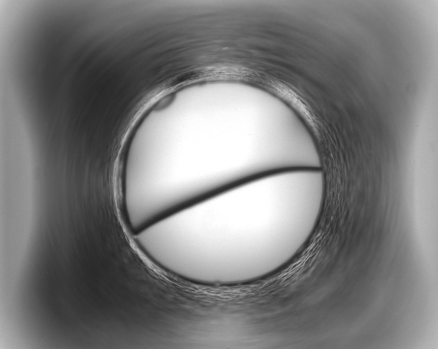 X0000098221103200804241128