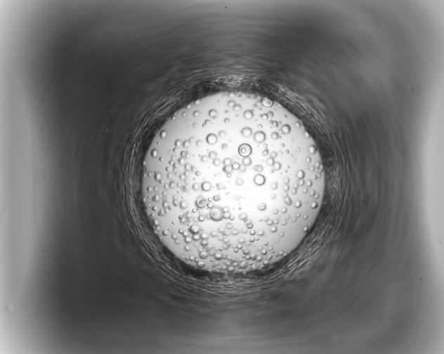 X0000098221105200804241127