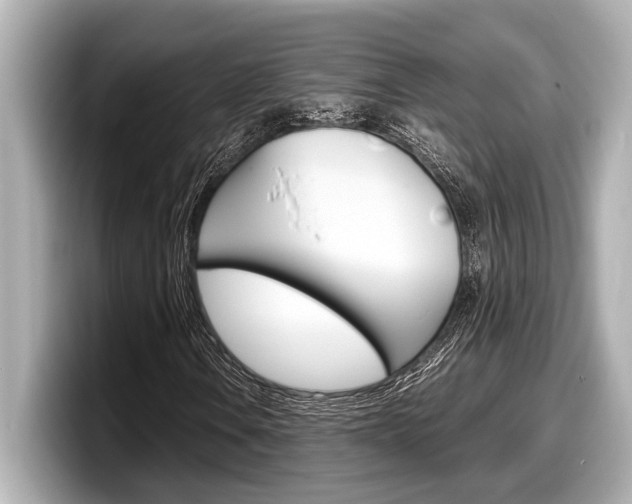 X0000098221106200804241127