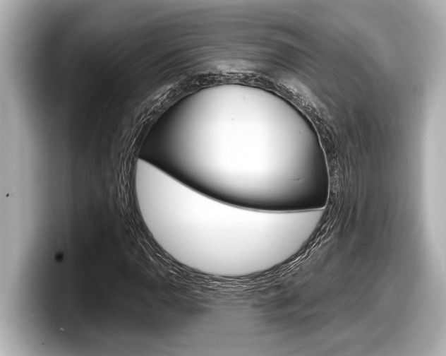 X0000098221110200804241127