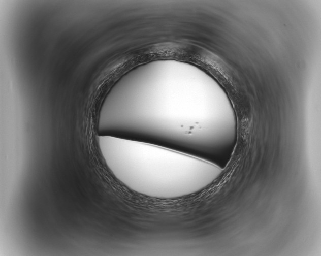 X0000098221111200804241127