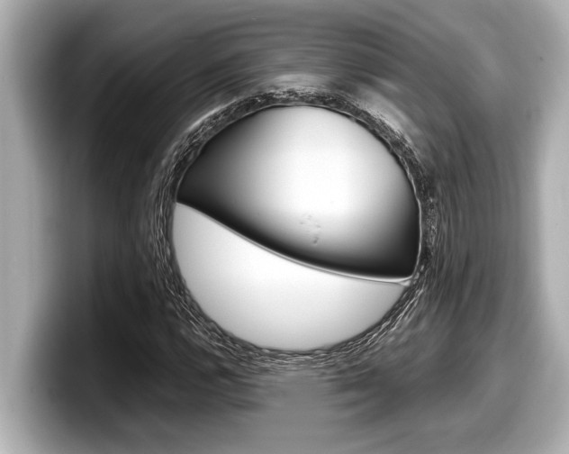 X0000098221112200804241127