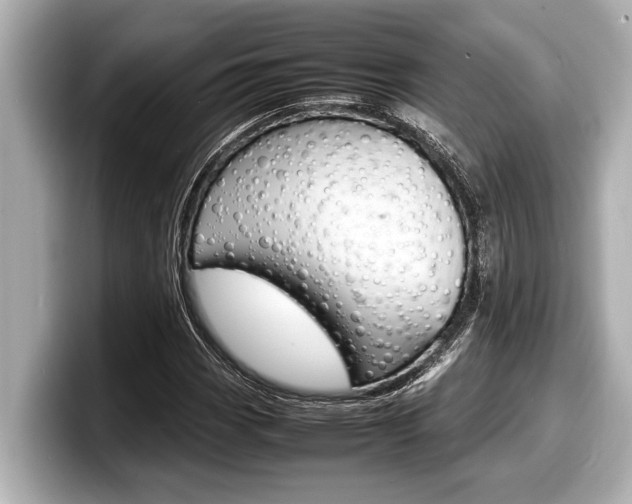 X0000098221113200804241127