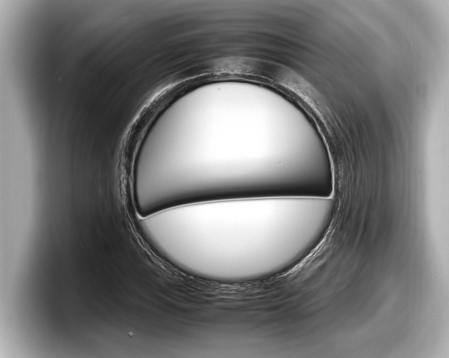 X0000098221115200804241127