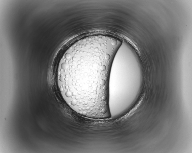 X0000098221117200804241127
