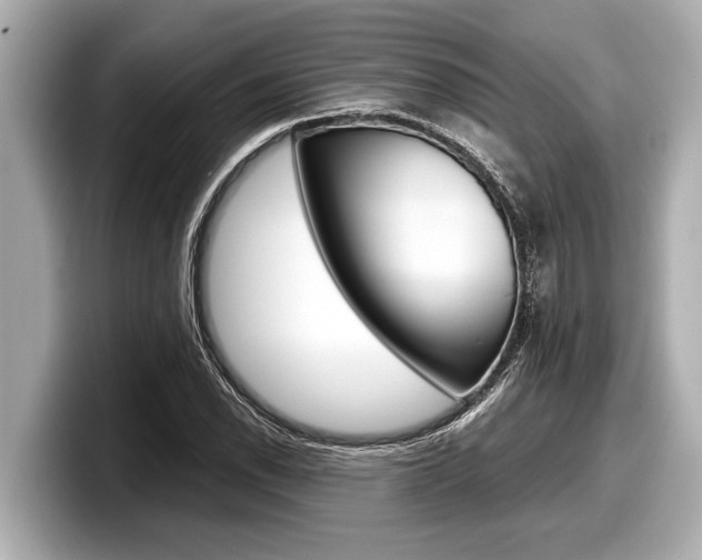 X0000098221118200804241127