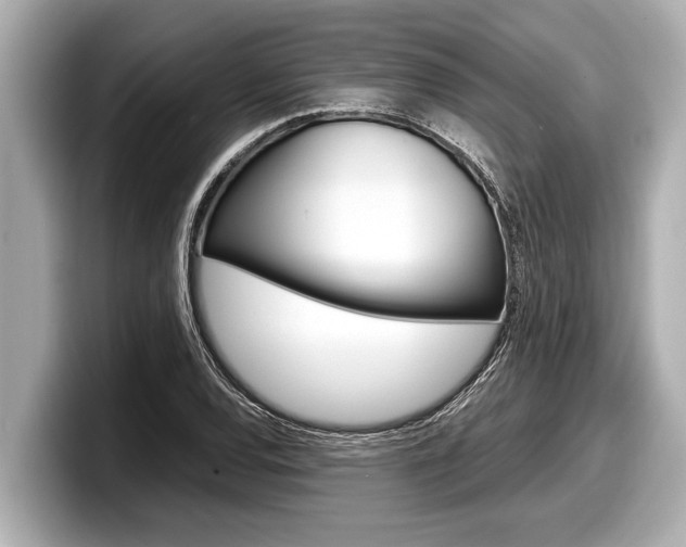 X0000098221120200804241127