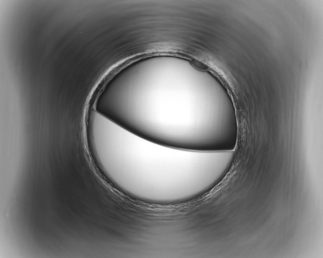 X0000098221124200804241127