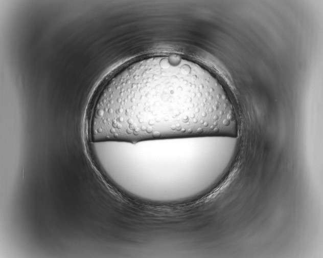 X0000098221125200804241128