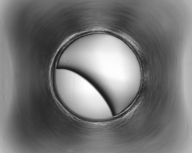 X0000098221126200804241128