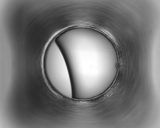 X0000098221128200804241128