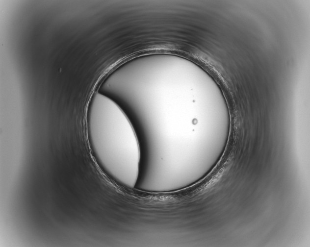 X0000098221129200804241128