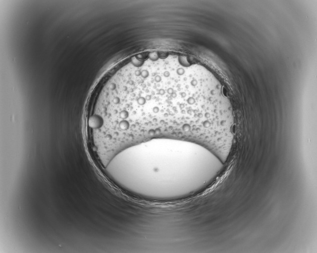X0000098221130200804241128