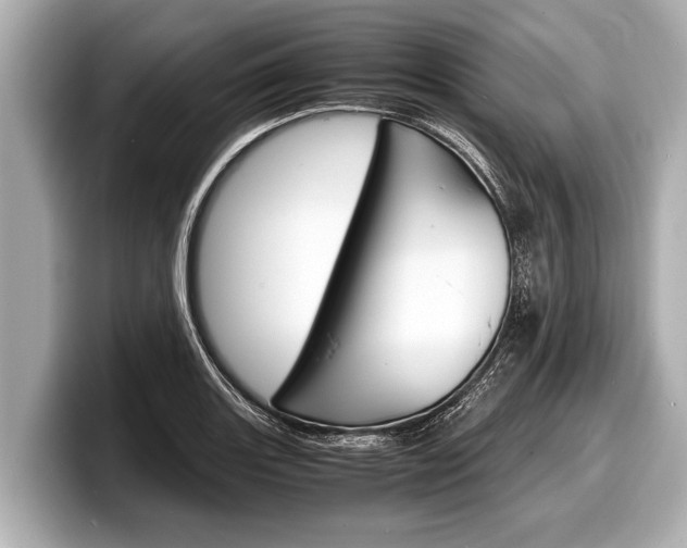 X0000098221131200804241128