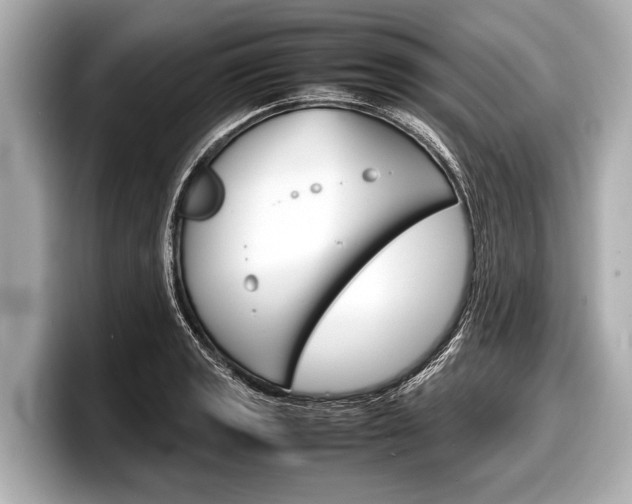 X0000098221133200804241128