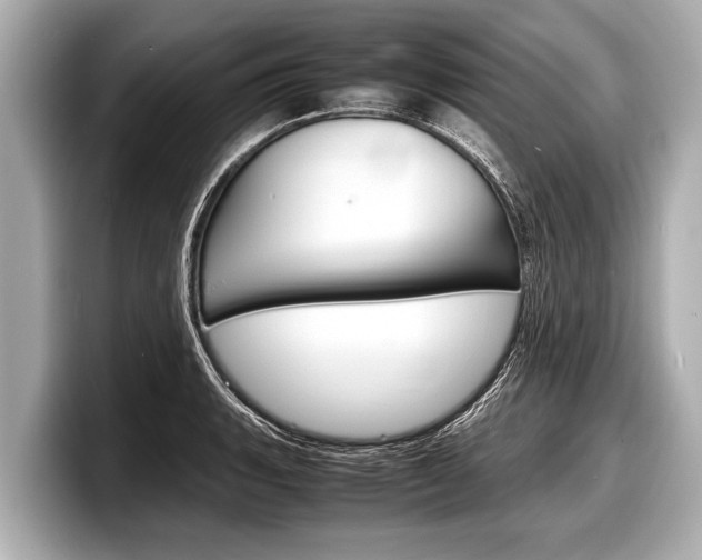 X0000098221135200804241128