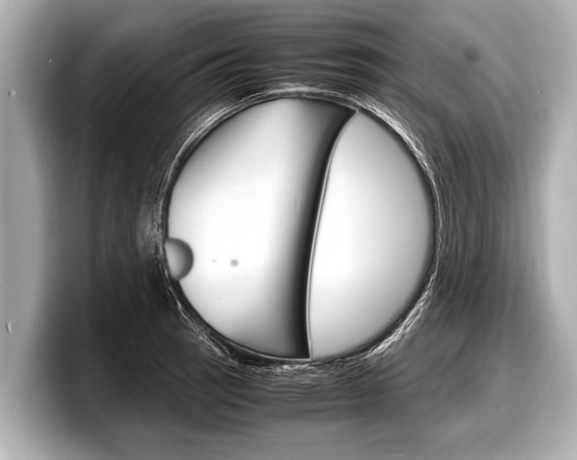 X0000098221137200804241128