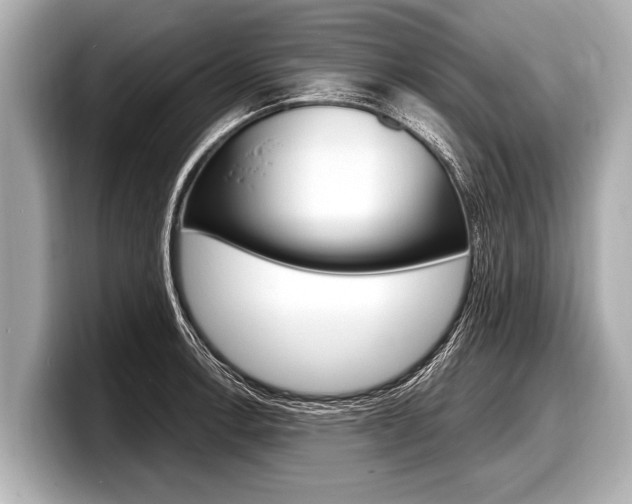 X0000098221138200804241128
