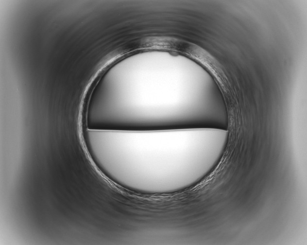 X0000098221139200804241128