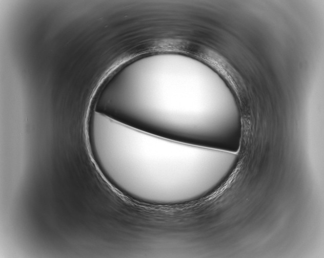 X0000098221141200804241128