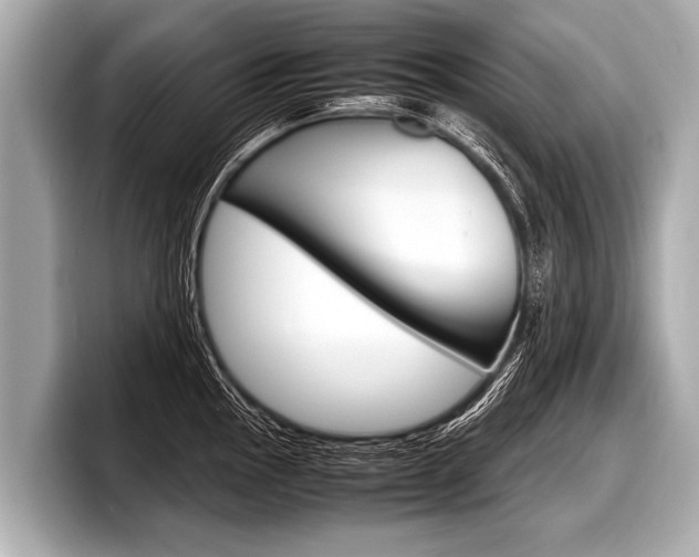 X0000098221145200804241128