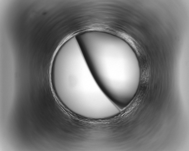 X0000098221146200804241128