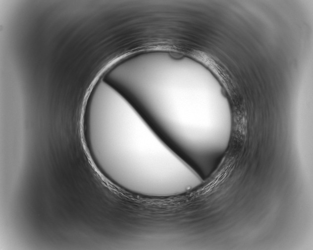 X0000098221147200804241128