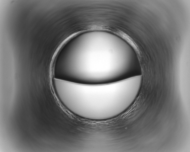 X0000098221148200804241128