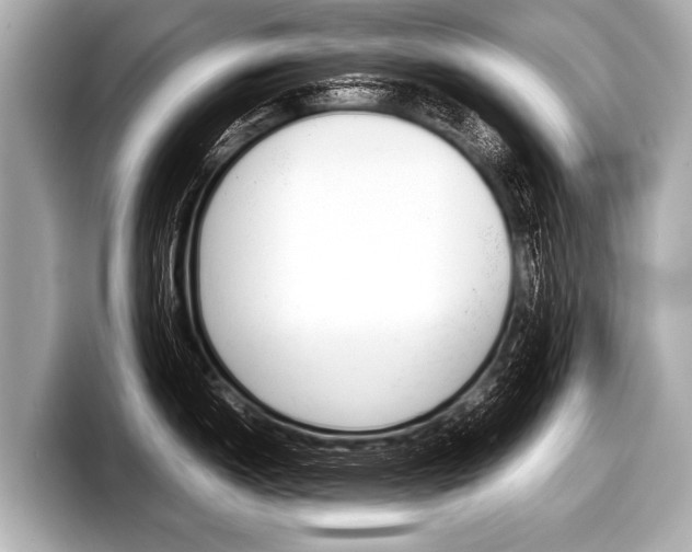X0000098221150200804241128